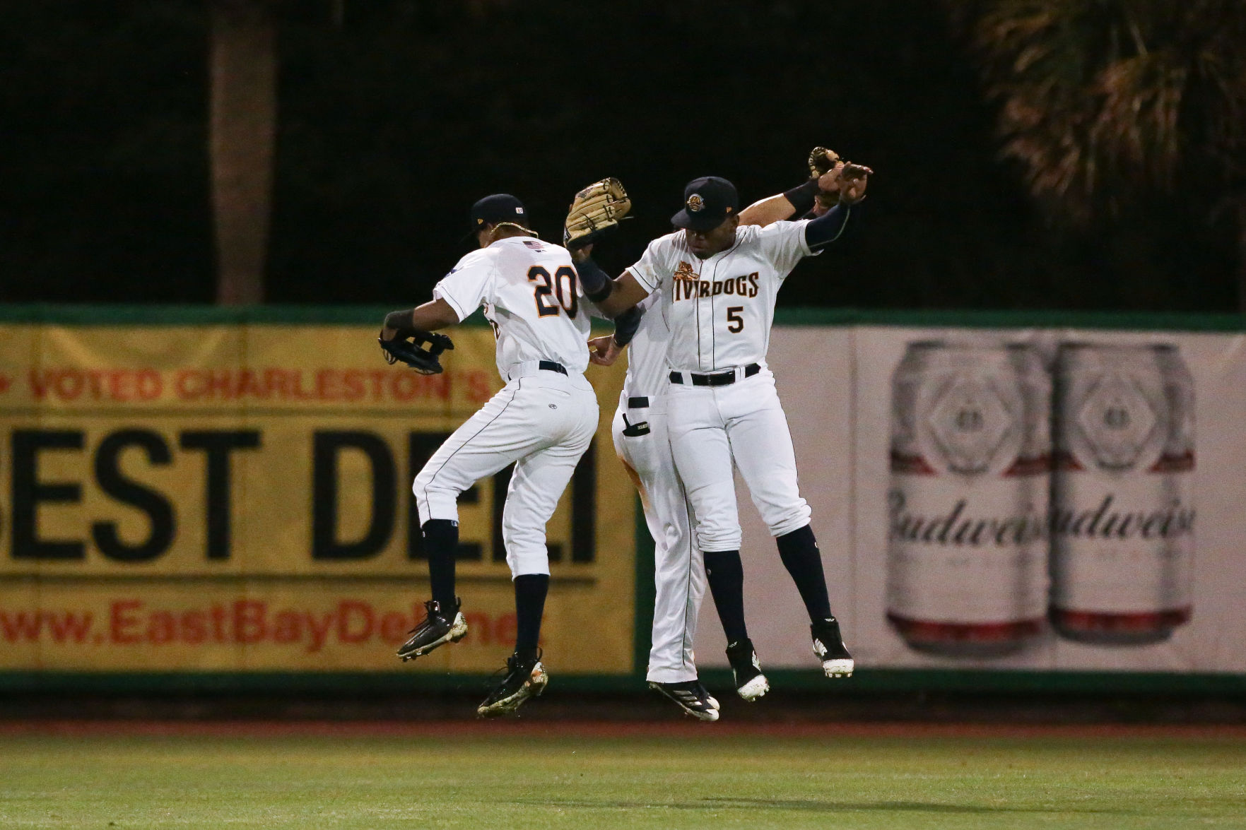 RiverDogs outfielders